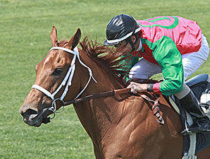 Red Zeus wins the 2014 Dwight D Patterson Handicap.