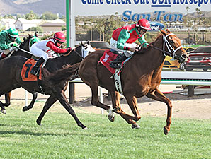 Red Zeus wins the 2013 Jack Coady, Sr. & Jeff Coady Stakes.