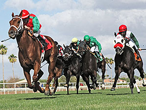 Red Zeus wins the 2013 Jack Coady, Sr. & Jeff Coady Stakes.