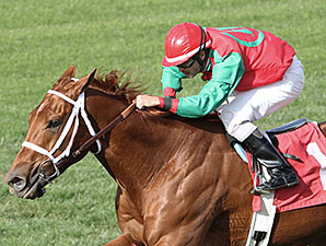 Red Zeus wins the 2013 Jack Coady, Sr. & Jeff Coady Stakes.