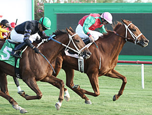 Red Zeus wins the 2013 Walter R. Cluer Memorial Stakes.