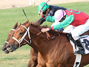 Red Zeus wins the 2013 Walter R. Cluer Memorial Stakes.