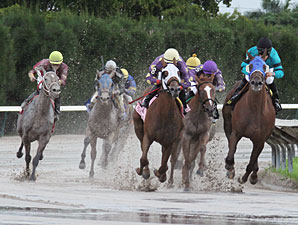 Redbud Road wins the 2011 Desert Vixen Division of the FL Stallion Stakes.