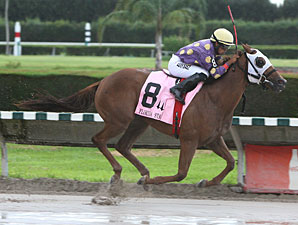 Redbud Road wins the 2011 Desert Vixen Division of the FL Stallion Stakes.