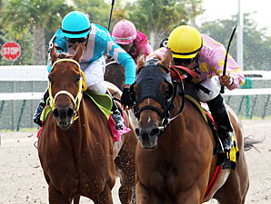 Redbud Road wins the 2012 French Village.