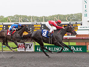 Reigning Catfish wins the 2013 Springfield Stakes.
