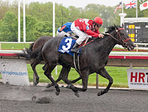 Reigning Catfish wins the 2013 Springfield Stakes.