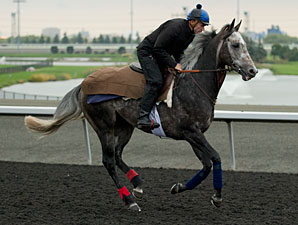 Reliable Man - Woodbine, October 10, 2012.