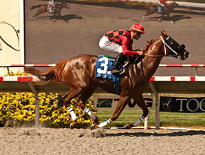 Reneesgotzip wins the 2012 C.E.R.F. Stakes.