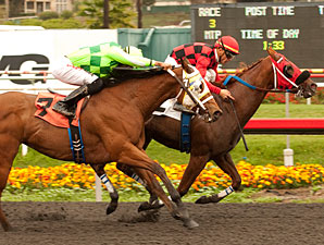 Reneesgotzip wins the 2012 Skillful Joy Stakes.
