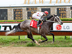 Report Card wins the 2012 Land of Lincoln Stakes.