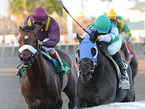 Reveron wins the 2011 Gulfstream Park Derby.