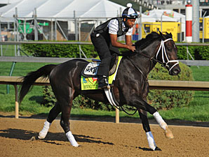 Revolutionary - Churchill Downs, May 1, 2013.