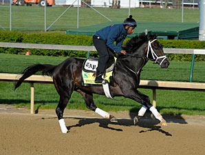 Revolutionary - Churchill Downs, April 26, 2013.
