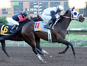 Rey Del Mar wins the 2013 New Mexico State Fair Breeders' Stake.