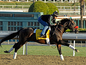 Richard's Kid - Breeders' Cup 2012