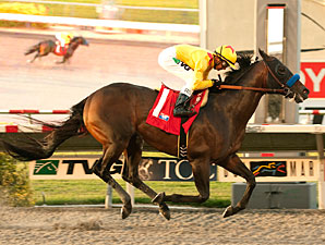 Richard's Kid wins the 2012 Cougar II.