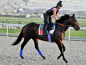 Richard's Kid Dubai World Cup Week 2010