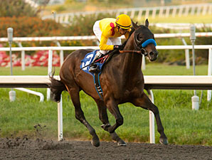 Richard's Kid wins the 2012 Prove It Stakes.