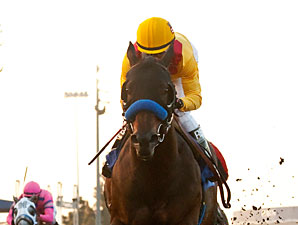 Richard's Kid wins the 2012 Prove It Stakes.