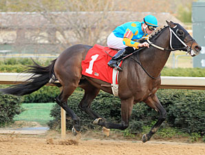 Riley Tuckey wins the 2012 King Cotton Stakes.