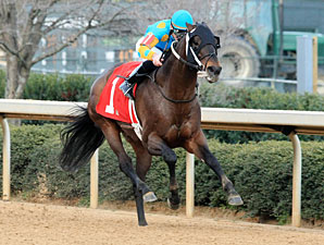 Riley Tuckey wins the 2012 King Cotton Stakes.