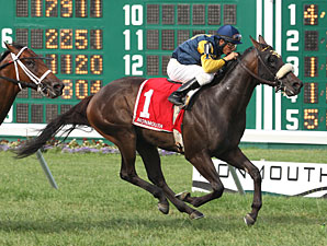 Rip Roarin Ritchie wins the Tyro Stakes.