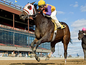Ripe Tomato wins the 2009 Powerless.