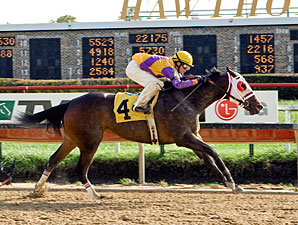 Ripe Tomato wins the 2009 Powerless.