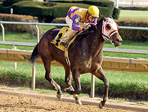 Ripe Tomato wins the 2009 Powerless.