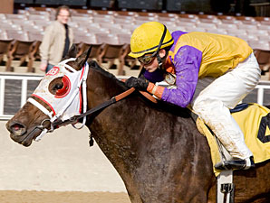 Ripe Tomato wins the 2009 Powerless.