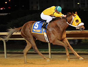 Rita Haywood wins the 2012 West Virginia Division of Tourism Breeders' Classic.