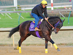 Riveting Reason Breeders' Cup 2010