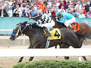 Road Ready wins the 2011 Bachelor.