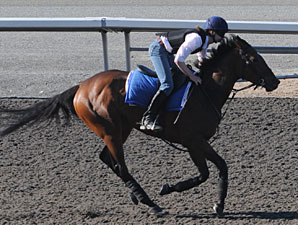 Roan Inish at Woodbine on July 3, 2010.