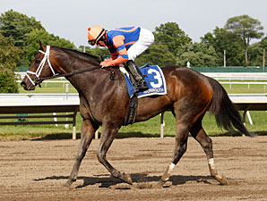 Roaring Lion wins the 2011 Mr. Prospector.