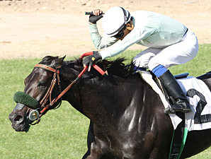 Rock Hard Bunny wins the 2013 Queen of the Green Stakes.