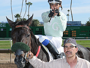 Rock Hard Bunny wins the 2013 Queen of the Green Stakes.