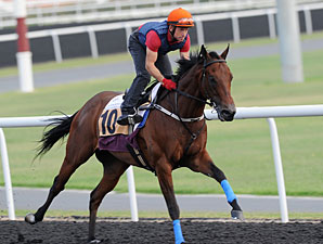 Rocket Man - Dubai 2012
