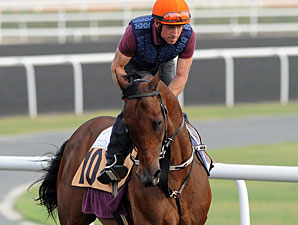 Rocket Man - Dubai 2012