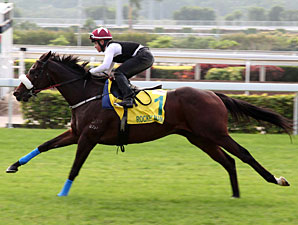 Rocket Man in Hong Kong on December 7, 2011.