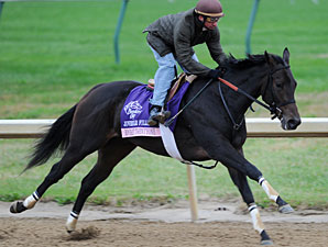Rocket Twentyone, Churchill Downs, Oct 28, 2011.