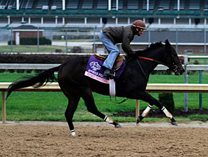 Rocket Twentyone, Churchill Downs, Oct 28, 2011.