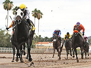 Rockin Home wins the 2013 Arizona Breeders' Futurity Colts and Geldings.