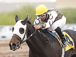 Rockin Home wins the 2013 Arizona Breeders' Futurity Colts and Geldings.