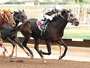 Rockin Home wins the 2014 Cactus Wren Stakes.