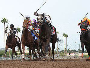 Rockin Home wins the 2014 Cactus Wren Stakes.
