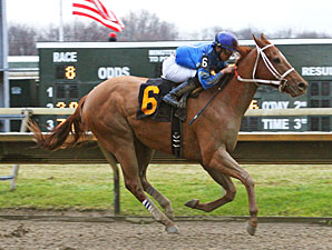 Rod's Five Star wins the 2012 Valley Forge Stakes.