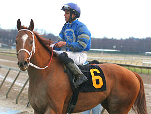 Rod's Five Star wins the 2012 Valley Forge Stakes.