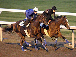 Rogue Romance and Harlan's Ruby work together at Keeneland on October 23, 2010.